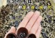 木耳的生长环境条件和特点（以光、温、湿度为关键因素）