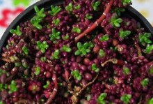 多肉紫米粒盆栽全攻略（打造超级爆盆，轻松养护多肉紫米粒）