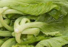 了解芥菜——一种健康蔬菜（起源、品种、营养价值、烹饪方法等全面解析）