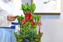 富贵竹子的养殖方法（打造家居绿色清新的理想之选）