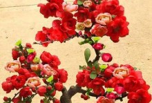 冬季怕冻的花卉（选对冬季抗寒品种，让花儿过一个温暖的冬天）