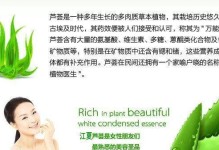 如何繁殖库拉索芦荟？（注意事项、方法详解与关键技巧）