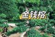 观赏树造型与修剪的艺术（打造美丽园林的关键技巧与方法）