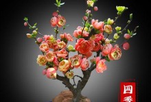 如何在家中进行丽格海棠的水培扦插？（简易的步骤和技巧。）
