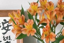 水仙花长歪了怎么办？——教你修复水仙花的方法