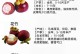 山竹的生长环境条件及特点（山竹的适宜生长条件、生长周期、营养成分及其应用价值）