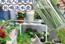 家里无人时如何科学浇水（解决无人时的花草浇水难题）