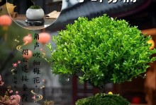 小叶赤楠冬季浇水技巧（保持湿润，避免浸泡，注意温度）