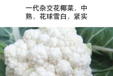 探索花菜类蔬菜的多样性（以花椰菜和西蓝花为例）