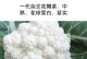 探索花菜类蔬菜的多样性（以花椰菜和西蓝花为例）