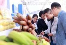 广州盛产什么农作物？（探究广州农业特色及市场表现，解读当地农业生产优势）