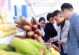 广州盛产什么农作物？（探究广州农业特色及市场表现，解读当地农业生产优势）
