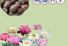 特玉莲养殖指南（从选购到养护，打造盛开如画的水生植物生态）