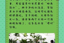 如何让富贵竹水养更旺盛？（富贵竹水养的技巧与注意事项）