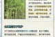 以水竹繁育的种植技巧（水竹繁育方法及关键技术）