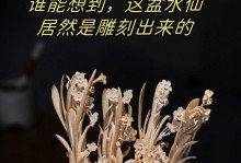 水仙球的雕刻之美（探索水仙球的独特魅力与创意）