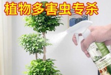 多肉植物红蜘蛛如何治疗？（多肉植物红蜘蛛治疗方法与预防措施）