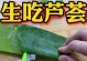 探秘芦荟的神奇味道（从世界各地到自家花园，芦荟的口感变化全都在这里）