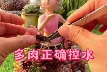 多肉植物的徒长原因及防控方法（探究多肉植物徒长的原因，以及如何有效防控徒长现象）