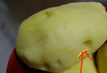 洋芋生芽能否食用？答案在这里！（生芽洋芋的危害及正确处理方法）