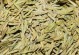 揭开龙井茶的神秘面纱（浙江龙井产区的茶叶之谜）