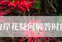 探寻彼岸花的生命之谜（解密彼岸花的开放时长及其生态习性）