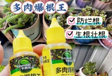 多肉浇水太多了怎么办？（避免过度浇水的关键方法与技巧）