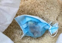 大米是否可以放在冰箱里保存？（大米冷藏保存的正确方式及注意事项）