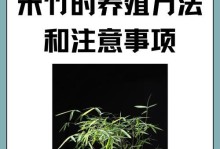 如何养护砍下的竹子，让其不易变黄（竹子养护技巧及注意事项）