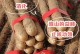 淮山种植条件及生长环境详解（适宜淮山生长的土壤环境和气候条件）