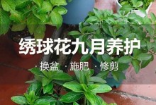 如何养护花叶绣球（让花叶绣球长久健康生长的关键）