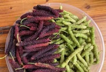 揭秘桑葚成熟的季节（探寻桑葚的成熟规律，你需要知道这些！）