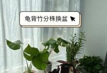 如何选种适合龟背竹的土？（解密龟背竹的土壤要求，打造健康成长环境）