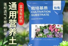 绿萝土育多肉（了解绿萝土，种出美丽多肉）