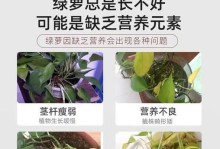绿萝肥料的正确使用方法（如何科学合理地给绿萝施肥）
