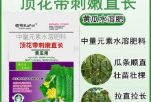黄瓜瓜打顶方法步骤与时间（掌握黄瓜瓜打顶关键，提高产量与质量）