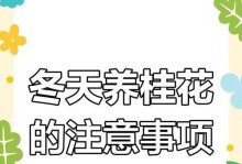 冬季桂花养殖秘籍——打造芬芳四溢的花海（桂花冬季养殖关键技巧及注意事项）