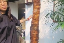 金丝楠木的生长条件和特性（探究金丝楠木生长所需的气候、土壤条件以及其独特的木材特性）