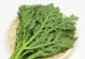 椰菜可以生吃吗？——揭开椰菜的神秘面纱（椰菜的营养价值、食用方法和注意事项）