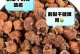 刺梨的营养价值及食用建议（每天吃几个最好？如何正确食用？）