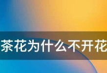 茶花光长叶子不开花的原因与解决方法（茶花长叶子不开花怎么办？茶花不开花的几种原因和解决方法！）