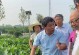 河南大豆播种时间详解（掌握正确的大豆播种时间，迎接高产丰收）