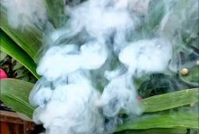 如何正确催花君子兰？（催花时间、催花方法、催花）