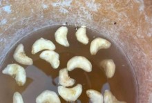 菱角与什么不能一起吃？（了解这些禁忌，保障健康饮食）