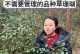 珊瑚养殖的方法及技巧（了解珊瑚养殖的关键步骤与要点）